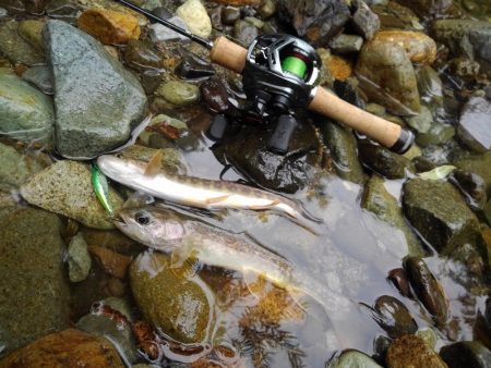 渓流で初のＷヒット！